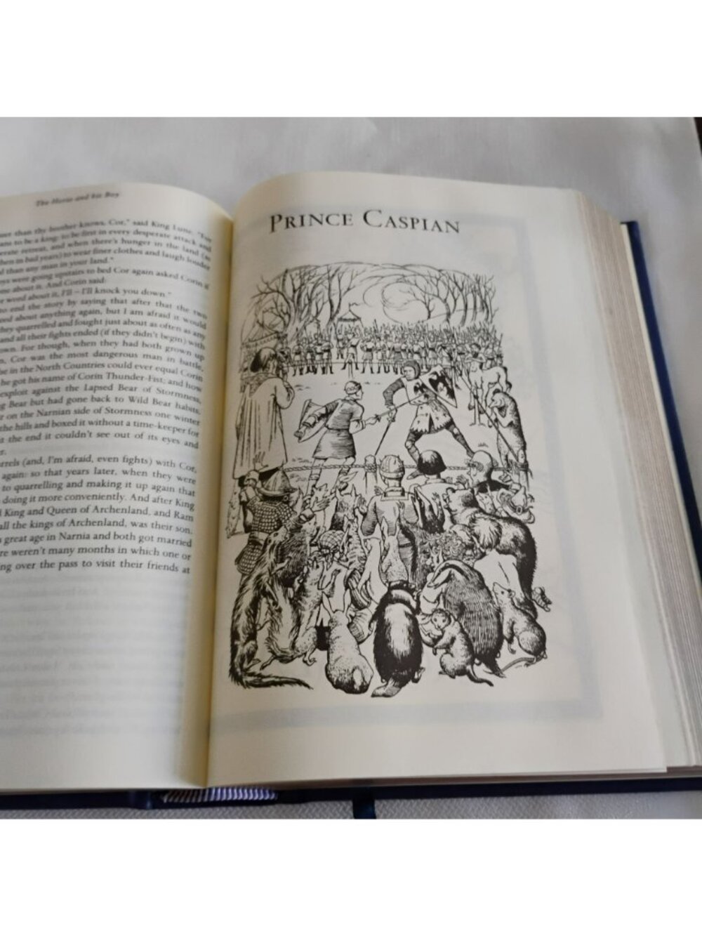 The Chronicles Of Narnia Barnes & Noble Leatherbound Omnibus C.S. Lewis 2010 - Picture 9 of 9
